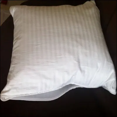 Quel record bizarre concerne les oreillers ?