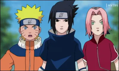 Quel est ton rôle dans un groupe damis ?