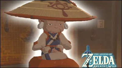 Dans BotW, comment sappelle le village caché où vivent encore des Sheikahs ?