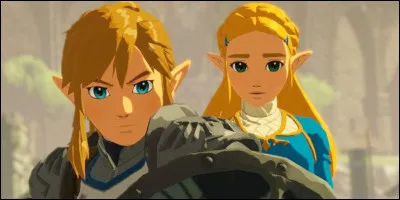 Quel est le héros incarné dans BotW et TotK ?