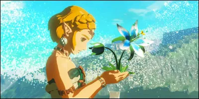Dans BOTW, qui est la princesse qui aide Link dans sa quête ?