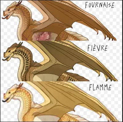 Dans la Guerre de Succession des Ailes de Sable, tu préférais...