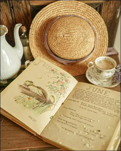 Sur celui de Gilbert Cesbron, on décrypte "Chiens perdus sans..."