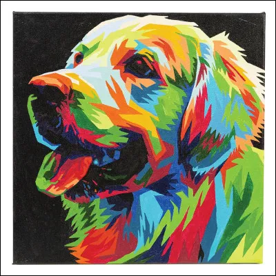 De quelle couleur est le water spaniel ?