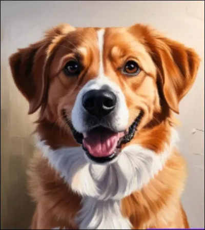 Jusquà quel âge peut-on faire confirmer un chien ?