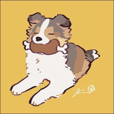 Son régime alimentaire est carnivore :