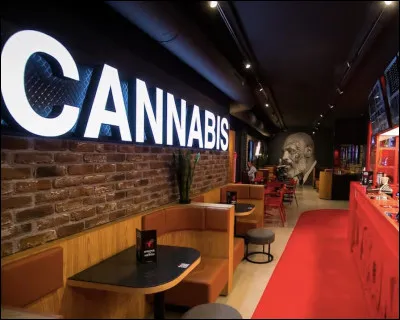 Quel est le nom de ces établissements où l'on peut acheter et consommer du cannabis à Amsterdam ?