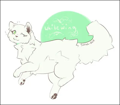 De quel clan est Aile Blanche ?