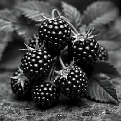 Quels sont ces fruits ?