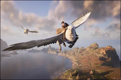 Est-ce que tu as volé sur un hippogriffe ?