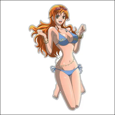 Je suis humaine et on me surnomme : la chapardeuse !
Qui suis-je ?