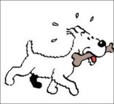 De quelle race est Milou, le chien de Tintin ?