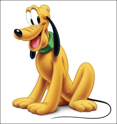 De quelle race est Pluto, le chien de Mickey ?