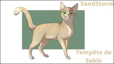 Qui a été le mentor de Tempête de Sable ?
