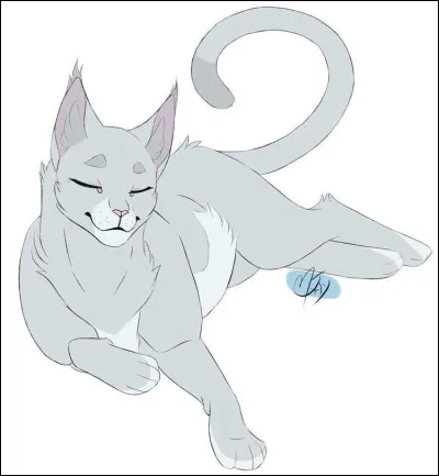 Qui ont été les mentors de Plume Grise ?