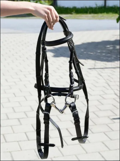 Que met-on sur la tête du cheval pour le monter ?