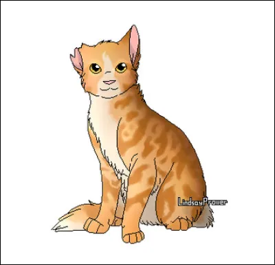 Quel mentor a-t-elle préféré avoir ?