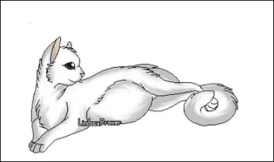 Qui est son premier apprenti ?