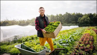 Comment cultives-tu tes relations ?