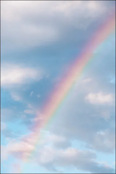 Quelle fleur préfères-tu ?