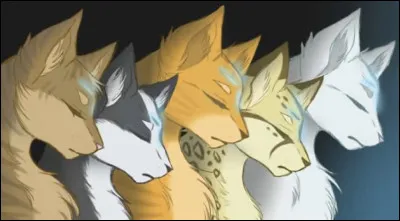 Qui est ton chef préféré ? (1/3)