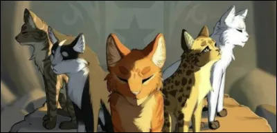 Et enfin quel est ton chef préféré ? (3/3) Dernière partie. 
Merci davoir joué !