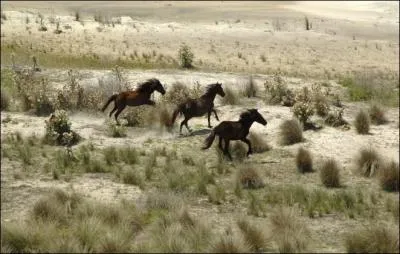 Comment se nomme le parc naturel qui se situe sur l'une des les Golden prs des ctes de la Gorgie ?