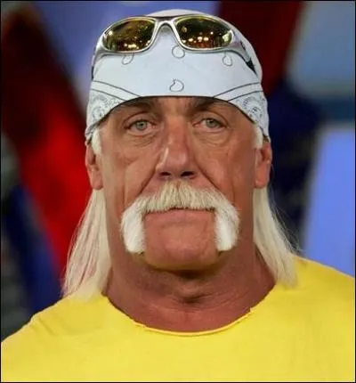 Ce catcheur, nomm Terrence Gene Bollea, est n  Augusta en 1952. Quel est son nom de scne ?