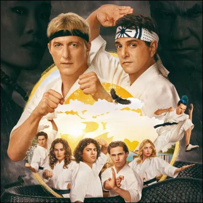 Quelle est cette série américaine, dont l'intrigue se déroule trente-quatre ans après le film "Karaté Kid" ?