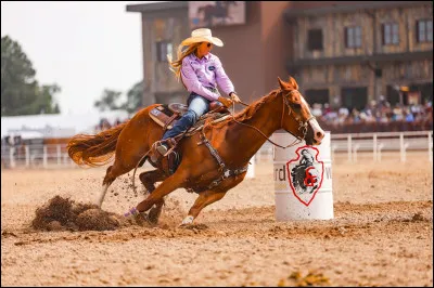 Quelle est cette discipline équestre ?