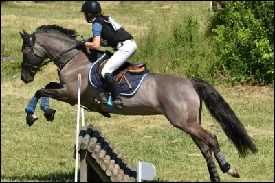 Quelle est cette discipline équestre ?