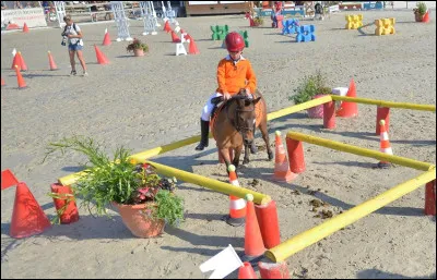 Quelle est cette discipline équestre ?