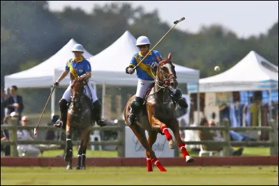 Quelle est cette discipline équestre ?