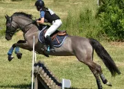 Quiz Expressions franaises sur le cheval