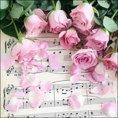 En 1977, qui chantait ''On se retrouve à l'abri sous un ciel aussi joli que des milliers de roses, je viens du ciel, et les étoiles entre elles..."