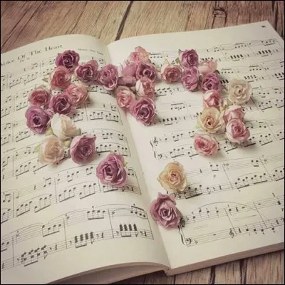 En 1971, quel est ce film d'amour sur lequel Annie Girardot règne à l'affiche, et dont Charles Aznavour est l'auteur d'une chanson éponyme ?