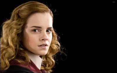 Quelle est la composition de la baguette d'Hermione ?