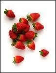 O cultive-t-on de dlicieuses fraises ?