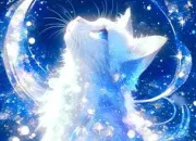 Test Quelle photo de chat lment auras-tu ?