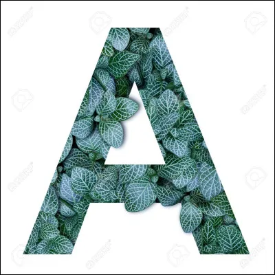 Par quelle lettre commence ton prénom ?