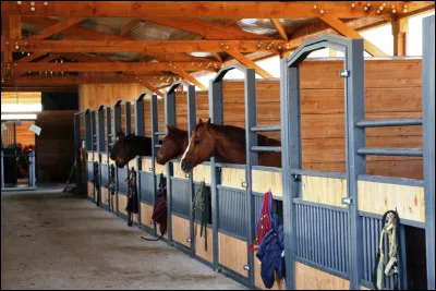 Qu'est-ce que cette image représente ?