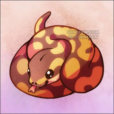 Face à un serpent, que fais-tu ?