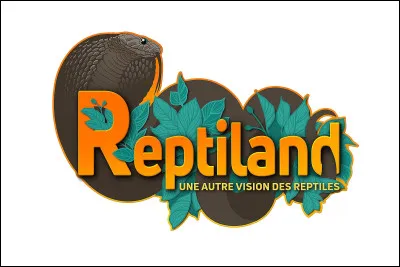 As-tu déjà visité un reptilarium ?