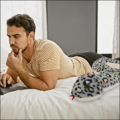 Comment différencier une couleuvre dune vipère ?