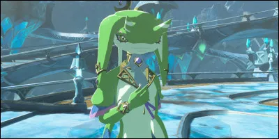 Comment vieillissent les Zoras ?