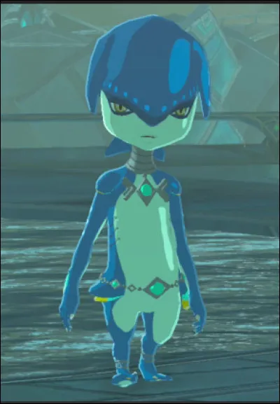 Qui est cet adorable petit Zora ?