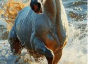 Quiz Les parties des membres du cheval