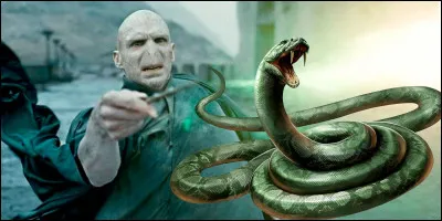 Severus Rogue a été tué par une morsure de Nagini.