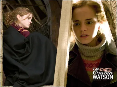 Hermione obtient tous ses BUSE.