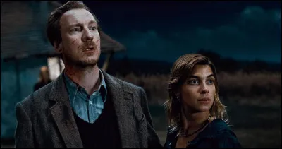 Le fils de Remus Lupin et de Nymphadora Tonks est Teddy Lupin.